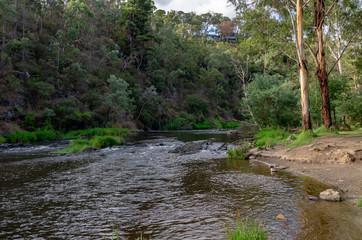 Naklejka premium Yarra Beach