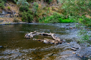 Yarra River Fish Trap