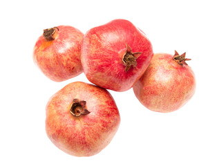 pomegranate fruit on white background