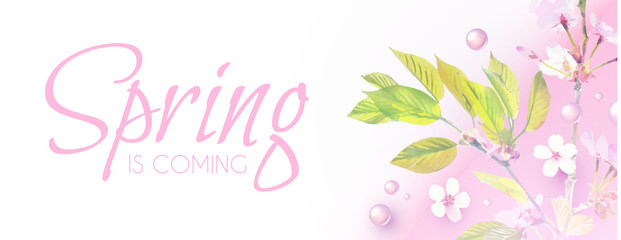 Soft Flower Spring Background. Cherry Blossom. Sakura Design.