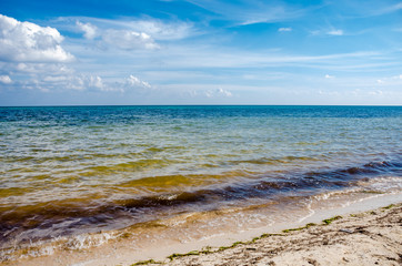 seaweed in caribbean beach sea at Cancun, Mexico