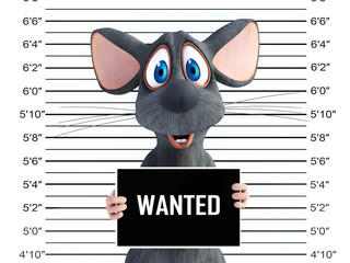 3D rendering of a smiling cartoon mouse in a mugshot. © Sarah Holmlund