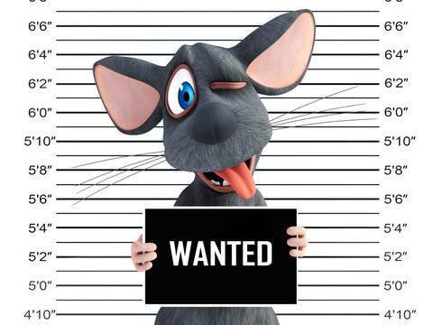 3D rendering of a cartoon mouse doing a silly face in a mugshot.