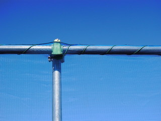 ネットと青空 © smtd3