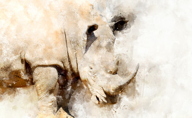 Rhino - watercolor illustration portrait