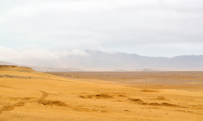 Fototapeta na wymiar Into the desert