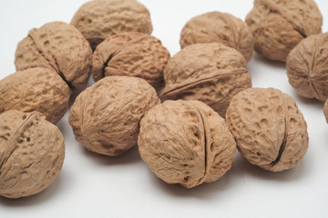 Walnut on a white scene