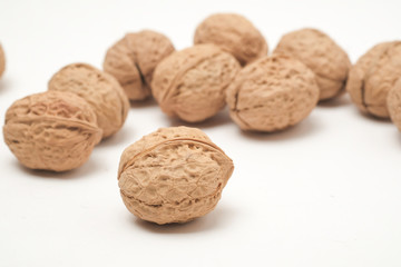 Walnut on a white scene