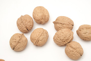 Walnut on a white scene