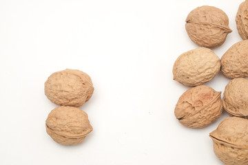 Walnut on a white scene