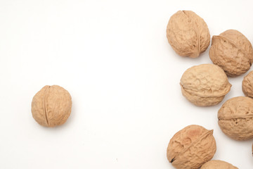 Walnut on a white scene