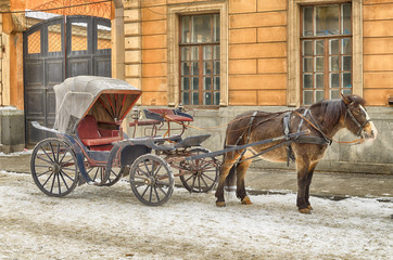 Horse-drawn sleigh waiting for passengers.