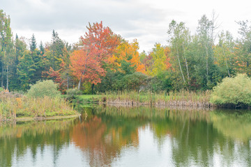 Some rural fall color landscape
