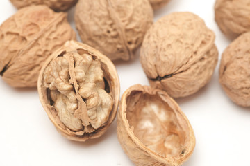 Walnut on a white scene