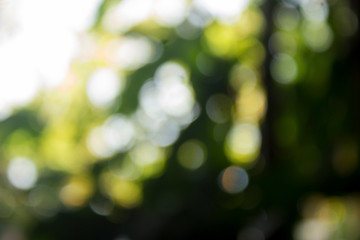 Abstract bokeh light background 