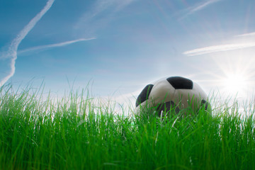 soccer ball on the grass in the park