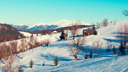Beautiful winter panorama with fresh powder snow. Landscape with spruce trees, blue sky with sun light and colorful clouds and high mountains on background