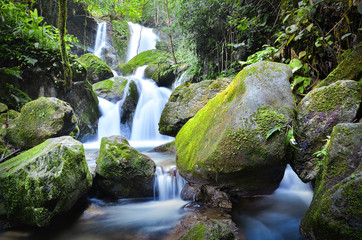 waterfall in florest 