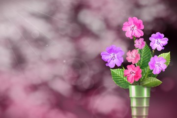 Beautiful live petunia bouquet bouquet in modern metal vase with blank place for your text on left on park trees and sky blurred background.