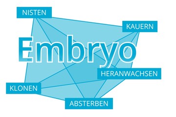 Embryo - Begriffe verbinden, Farbe blau