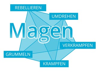 Magen - Begriffe verbinden, Farbe blau