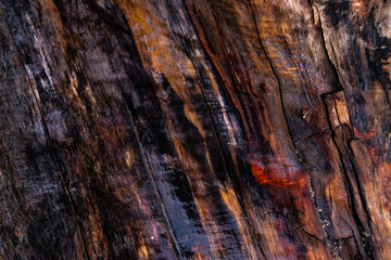 Holzmuster