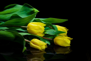 Obraz premium Yellow Tulip Bouquet