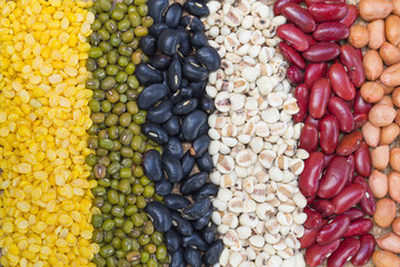 Different kinds of bean seeds