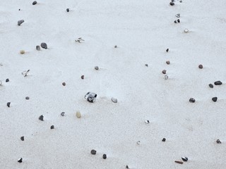Abstract sedimends of dark sand and milled shells on beach