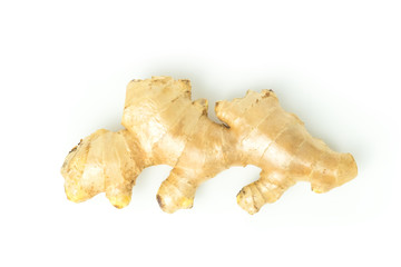 Ginger fresh isolated is a rooted plant with medicinal properties and is the elixir. with vitamins. top view on white background and clipping path. The name of science : Zingiber officinale Roscoe