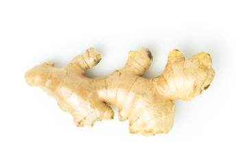 Ginger fresh isolated is a rooted plant with medicinal properties and is the elixir. with vitamins. top view on white background and clipping path. The name of science : Zingiber officinale Roscoe