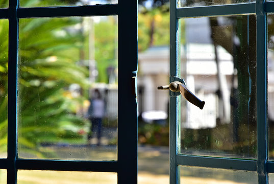 The view of garden from the room of the day when it was fine