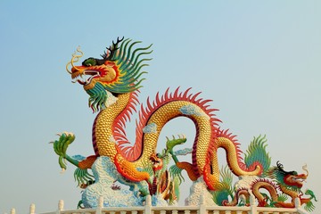 Naklejka premium chinese dragon 