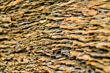 Surface of the stone, Stone texture and background