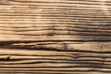 crack in burnt wood close-up