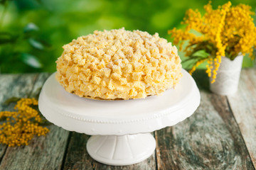 Traditional mimosa cake for Mother's Day