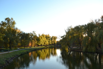 Fototapeta premium autumn in the park