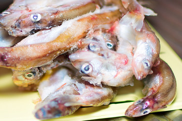 Fresh fish as abstract background. Concept: active rest, healthy food, fresh food.