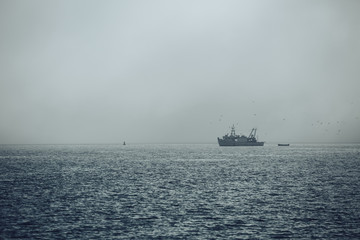 Fishing boat returning to harbor in misty morning after fishing with flock of seagulls above
