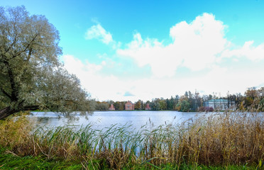 Golden autumn on the lake in sunny day