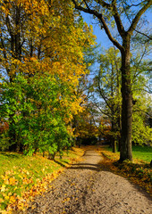 Obraz premium Autumn park in St Petersburg, Russia