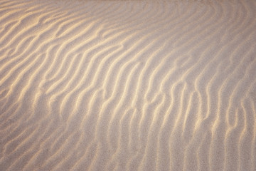 shapes in the sand