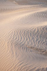 shapes in the sand