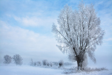 Fototapeta na wymiar piękny zimowy krajobraz