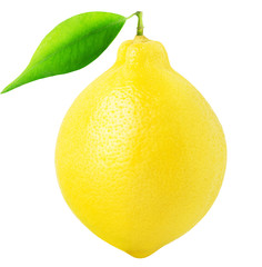 Isolated lemon friut. Whole lemon with leaf isolated on white with clipping path