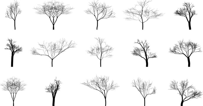 Set of black bare trees on an empty background