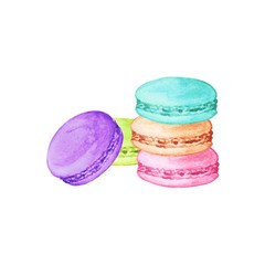 Delicious hand drawn french macarons. Watercolor realistic illustration on white background. Sweet cookies.