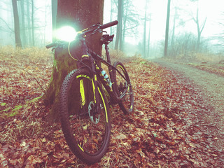 Mountainbike In The Forest, sunset and fog