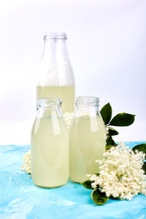 Kombucha tea with elderflower flower on blue background. .