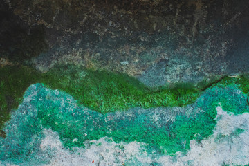 Cracks of the wall and green moss.